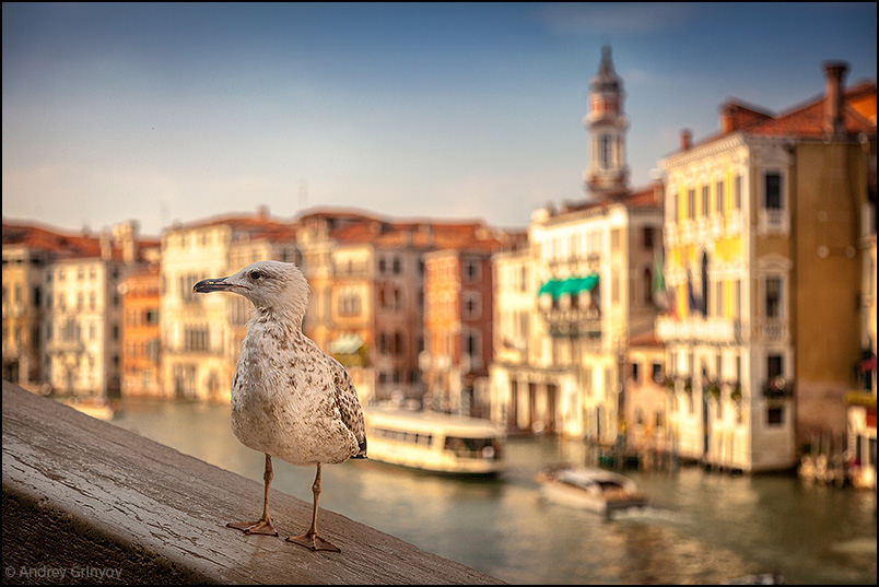 http://anagr.com/internet/Venice/Venice-010.jpg