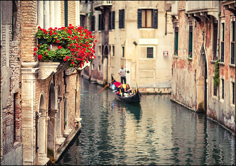 http://anagr.com/internet/Venice/Venice-026.jpg