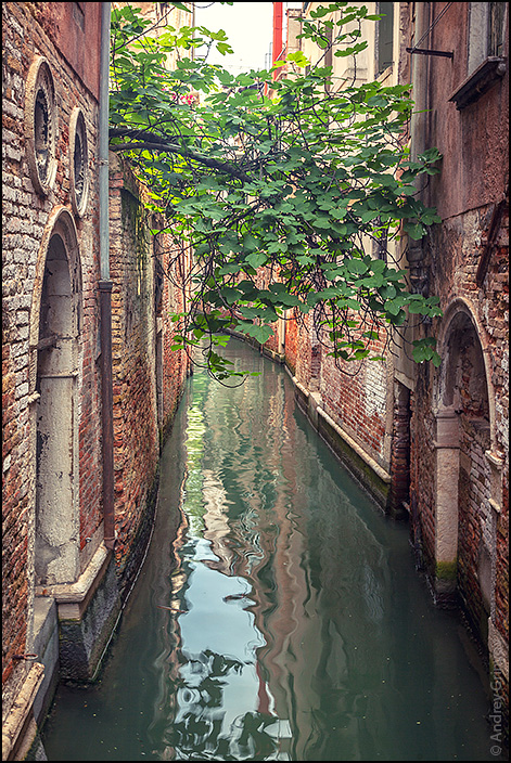 http://anagr.com/internet/Venice/Venice-050.jpg